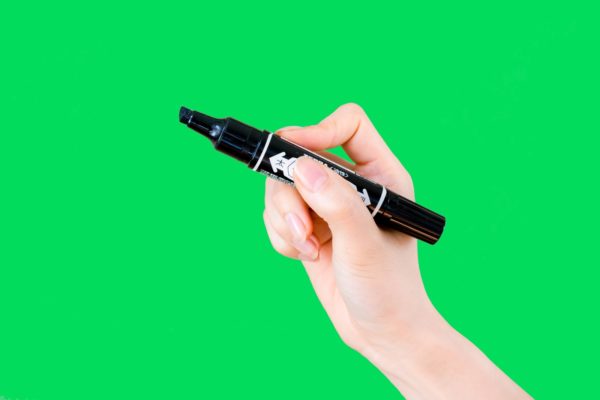 イチローの愛犬 一弓 画像あり について色々調べてみた 野球犬のソコが知りたい