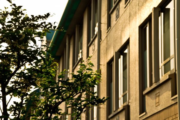 長嶋 一茂 娘 学校